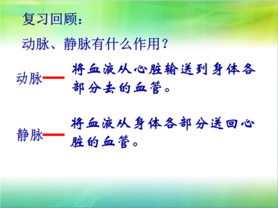 说明生物的外形与作用