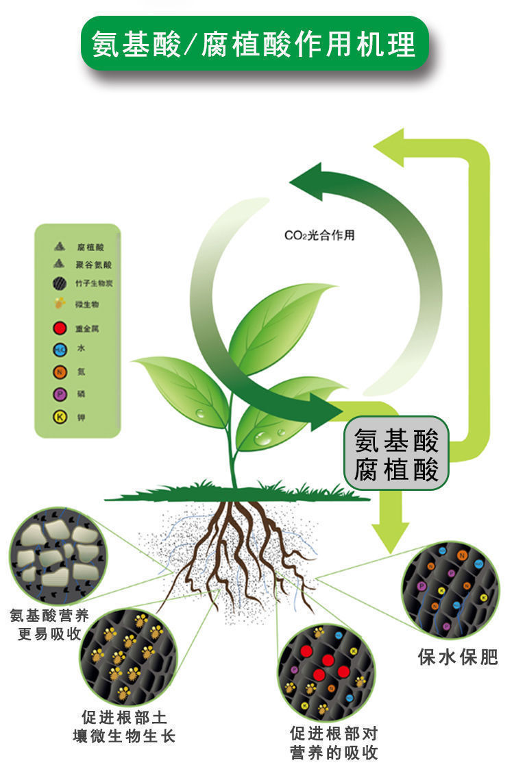 生物的浓缩作用