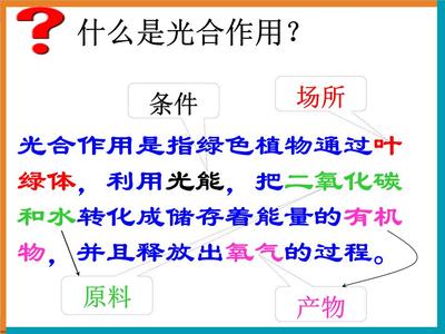 生物角的作用有哪些
