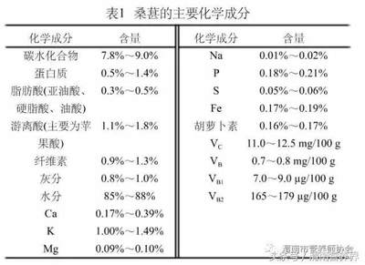 生物碱类成分的作用