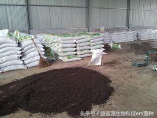 生物有机肥怎么生产的呢