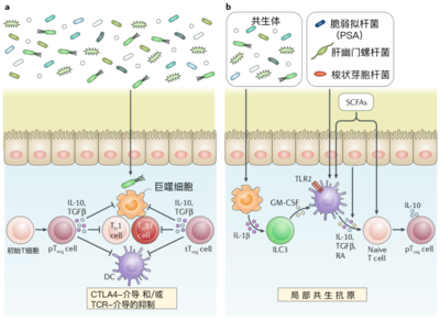 生物作用效应