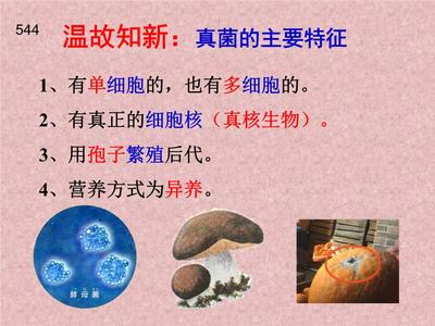 孢子的作用生物
