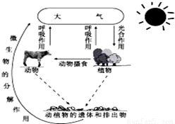 生物中都含有什么作用