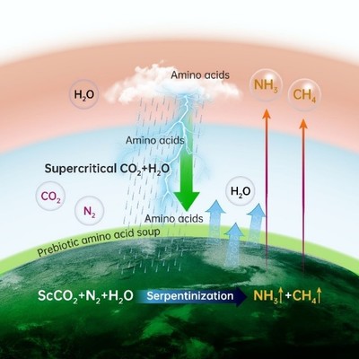 氢气的生物用途和作用