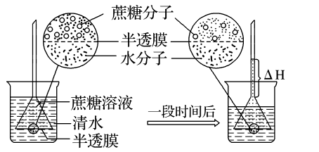 生物渗透作用的意义
