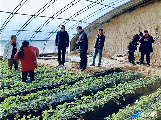 农村生物安全配套产品产地