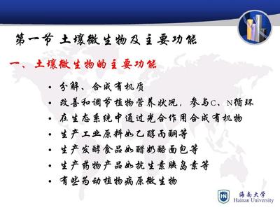 生物土壤微生物的分解作用ppt