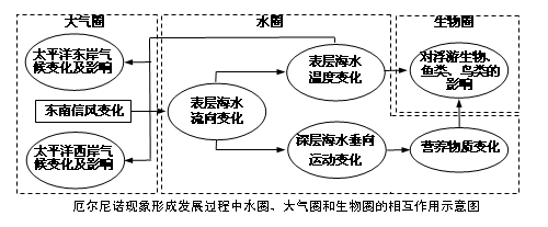 森林生物过程作用
