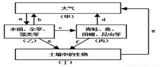 生物分解蓝藻的作用是