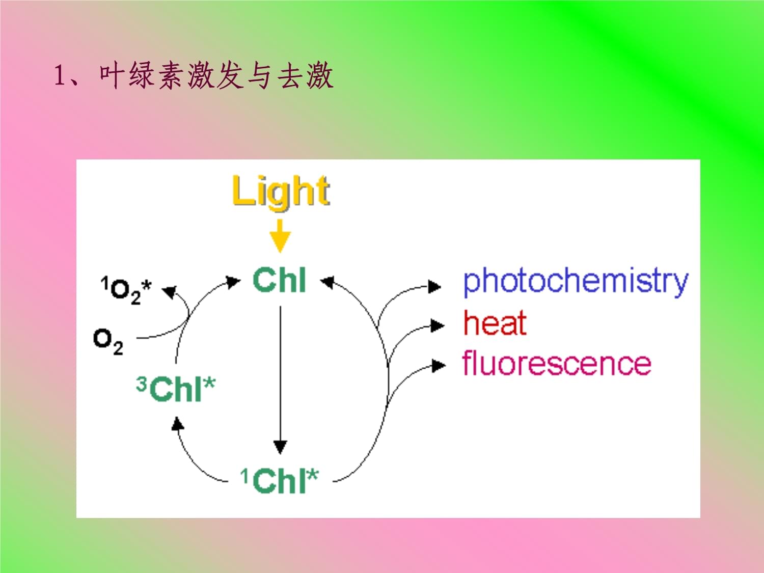 生物学光合作用的作用