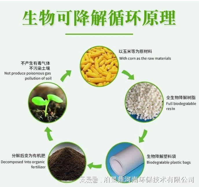 小生物大作用是