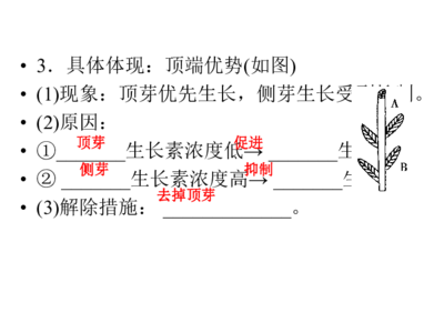生长素的生理作用高中生物