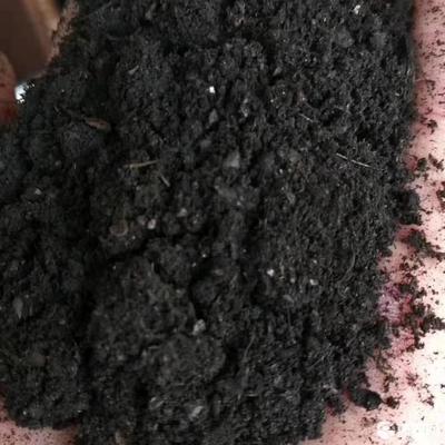 生物有机肥如何使用视频