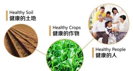 生物活性有机肽硒的作用