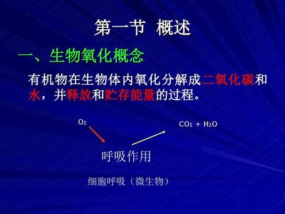 微生物的呼吸作用概念