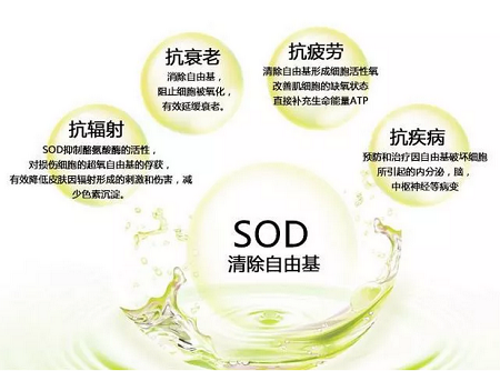 生物氧的作用是
