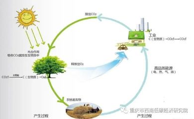低碳生物的主要作用