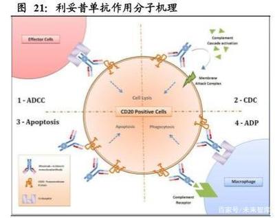 抗原在生物上作用