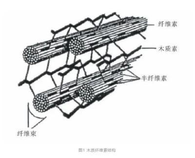 生物绳 作用