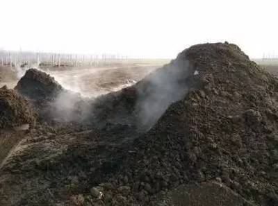 生物肥有机肥保护环境