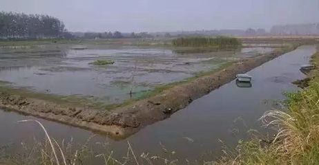 生物改底的作用和注意事项