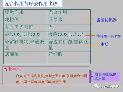 生物呼吸作用知识笔记